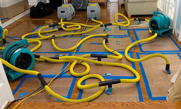 Professional Burst Pipe Water Damage technician working in Maidsville, WV